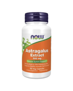 Now Astragalus Extract 500mg Cápsulas Vegetais 90unid.