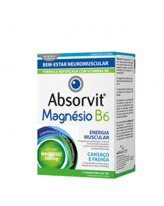 Absorvit Magnésio B6 Comprimidos 60un