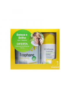 Ecophane Biorga Pack Suplemento em Pó + Shampoo Fortificante 318gr+ 100ml