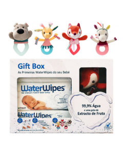 Waterwipes Giftbox
